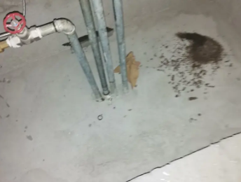 循化卫生间测漏水价格明细